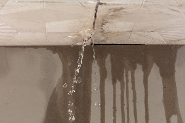 Professional Water Damage Repair technician working in Kendleton, TX